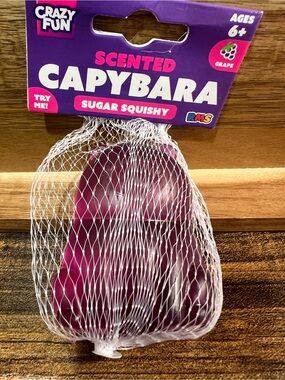 💜 RMS Crazy Fun Grape Scented Capybara Sugar Squishy - Purple 💜 🍇